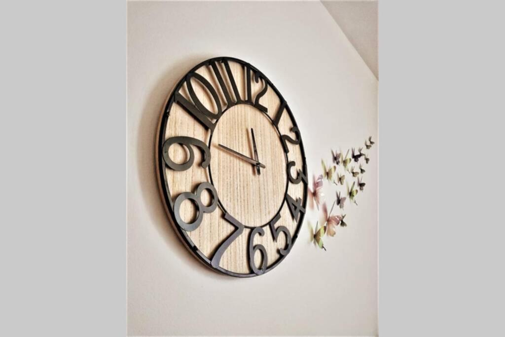 Evening Star Apartment Timisoara